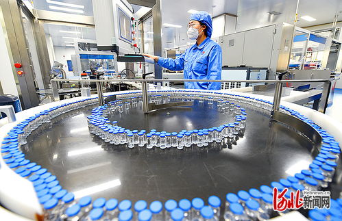 衡水新聞網(wǎng) 技術(shù)驅(qū)動(dòng)下的軟件開發(fā)與市場(chǎng)銷售新篇章